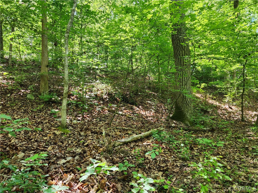 Lot 1 Walnut Shade Road Louisa, VA 23093 - Photo 8 of 45 Gallery Image 8