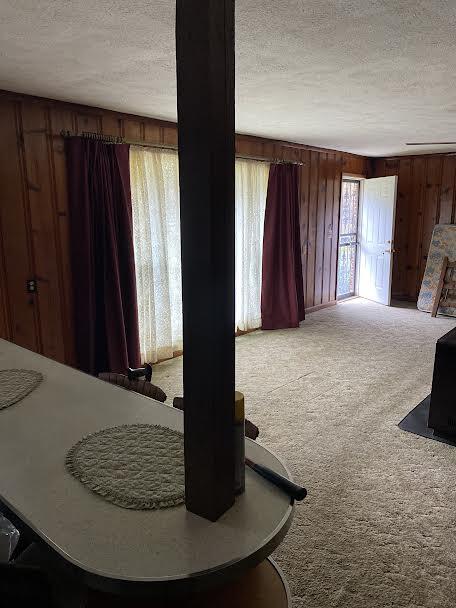 435 Horton Highway Fall Branch, TN 37656 - Photo 12 of 29 3