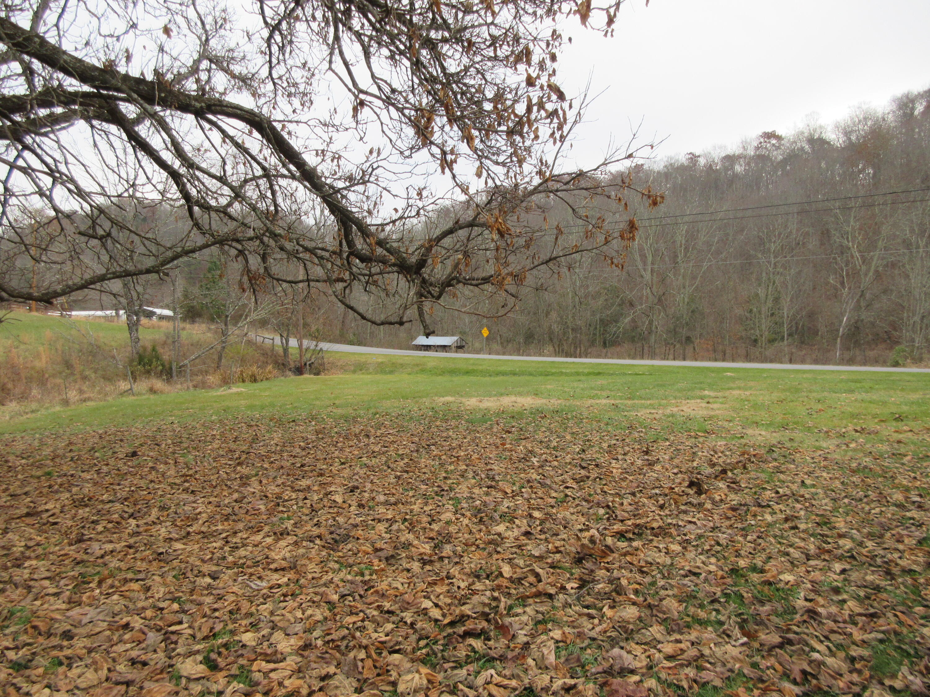 435 Horton Highway Fall Branch, TN 37656 - Photo 24 of 29 IMG_2965