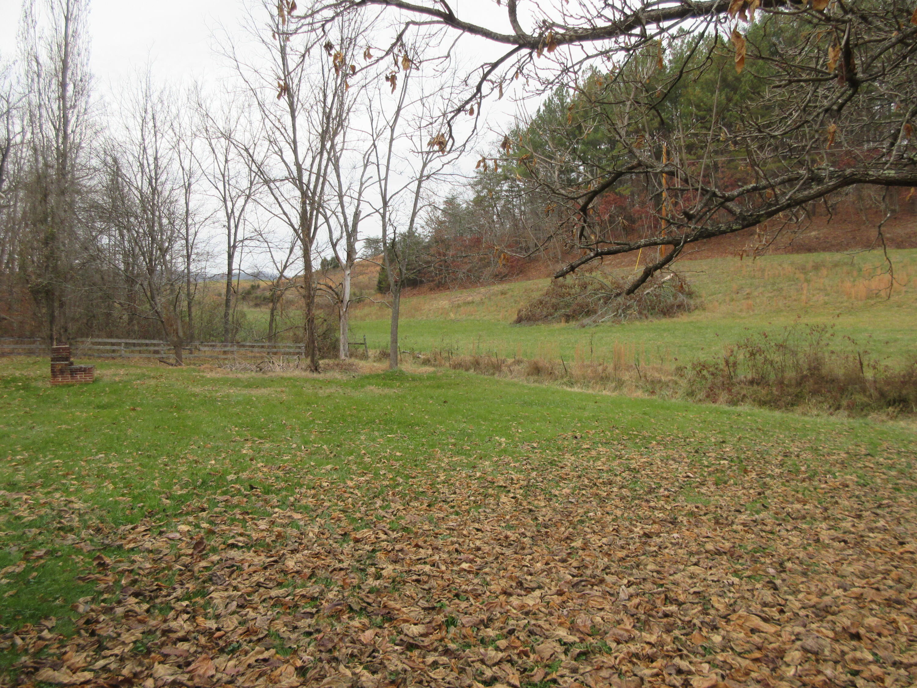 435 Horton Highway Fall Branch, TN 37656 - Photo 25 of 29 IMG_2966