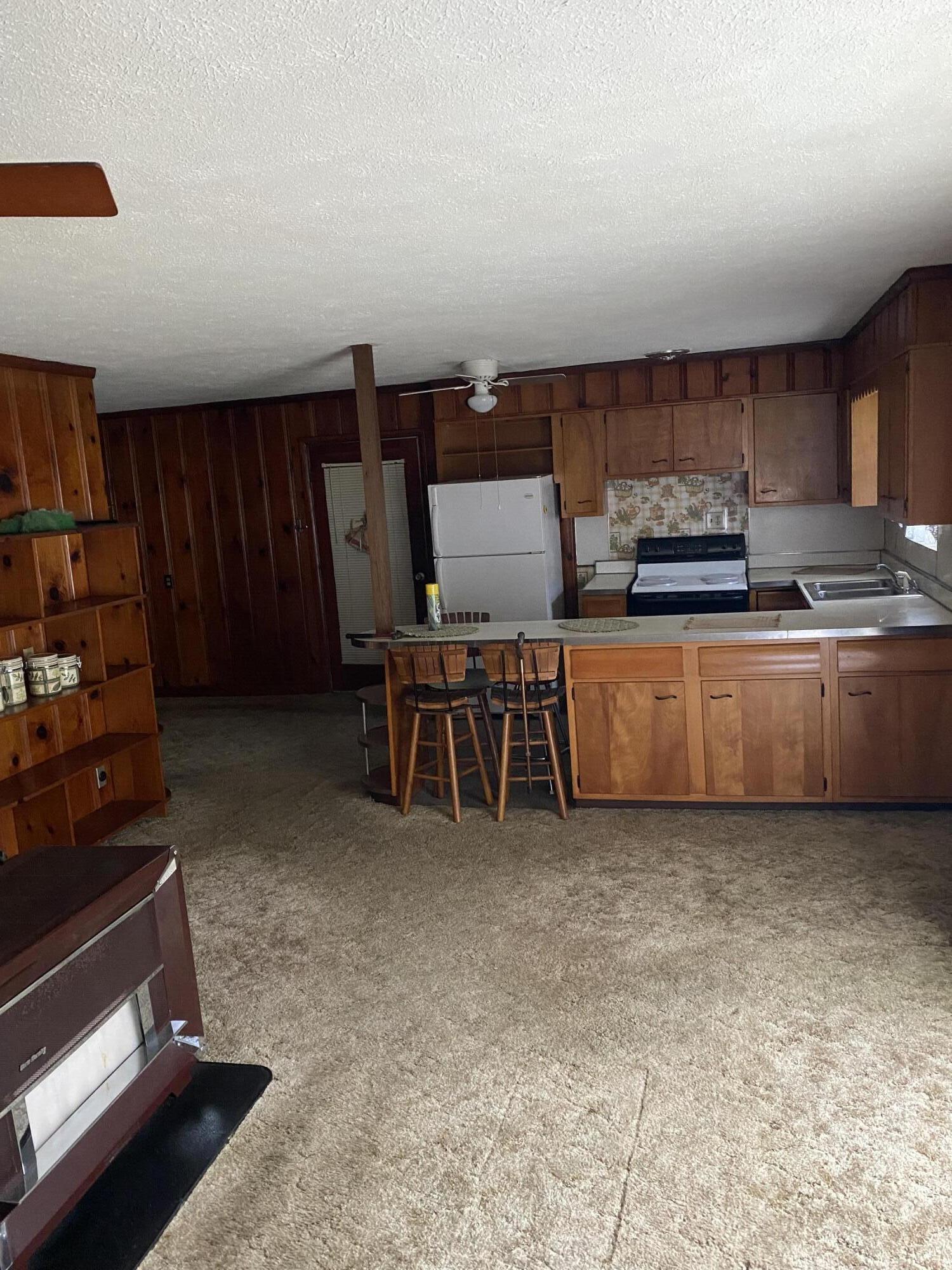 435 Horton Highway Fall Branch, TN 37656 - Photo 29 of 29 IMG-4263