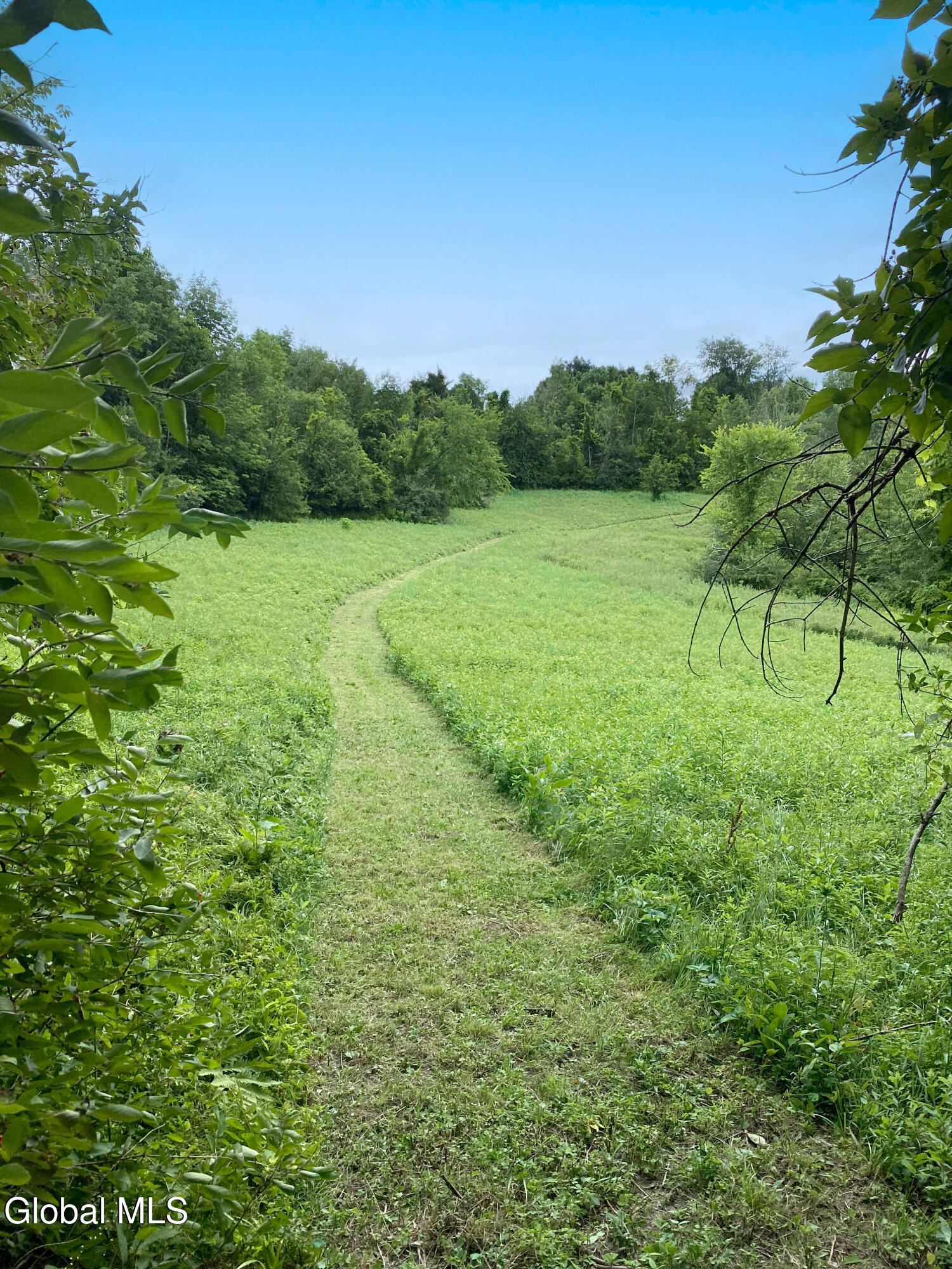 797 Western Road Schodack, NY 12033 - Photo 58 of 67 IMG_7313_East_West Connecting Trail