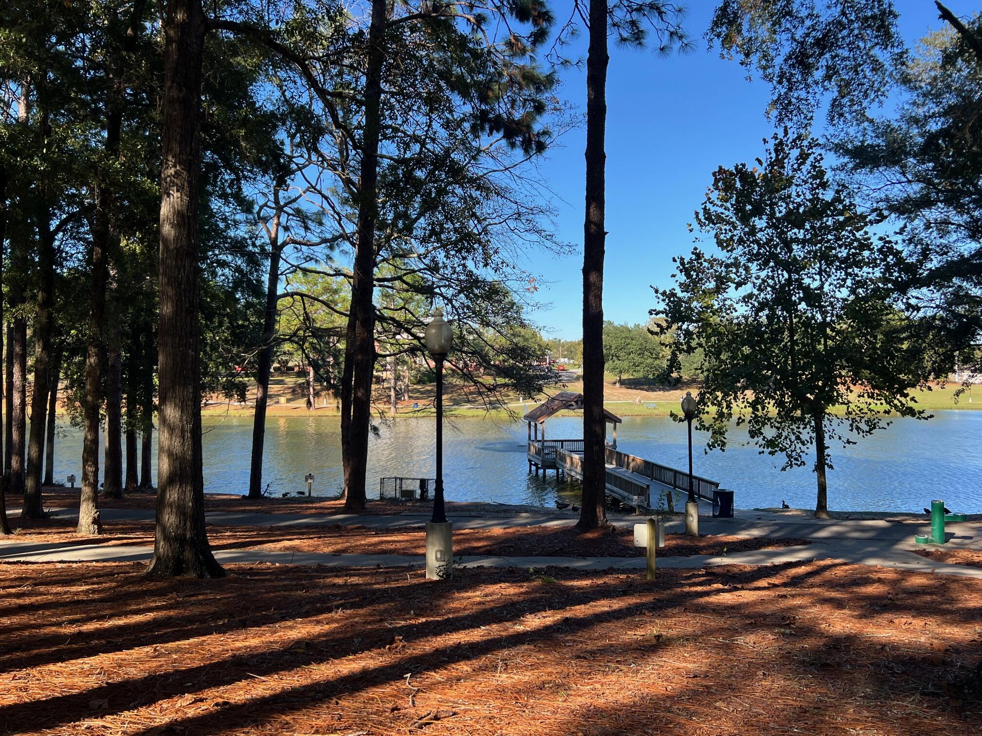299 Carl Place Crestview, FL 32539 - Photo 35 of 37 a view of street with trees