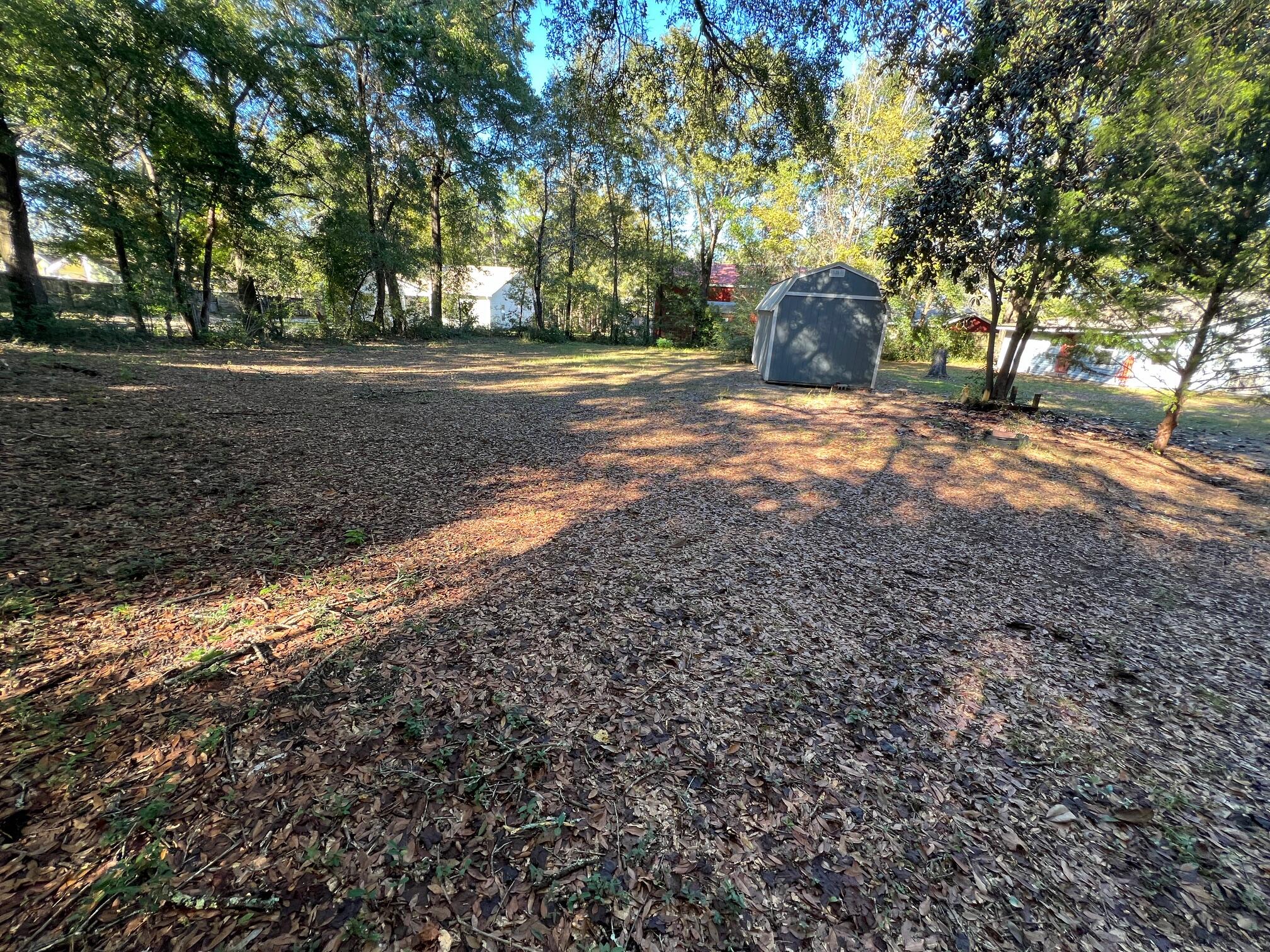 299 Carl Place Crestview, FL 32539 - Photo 6 of 37 a view of a yard with a large tree