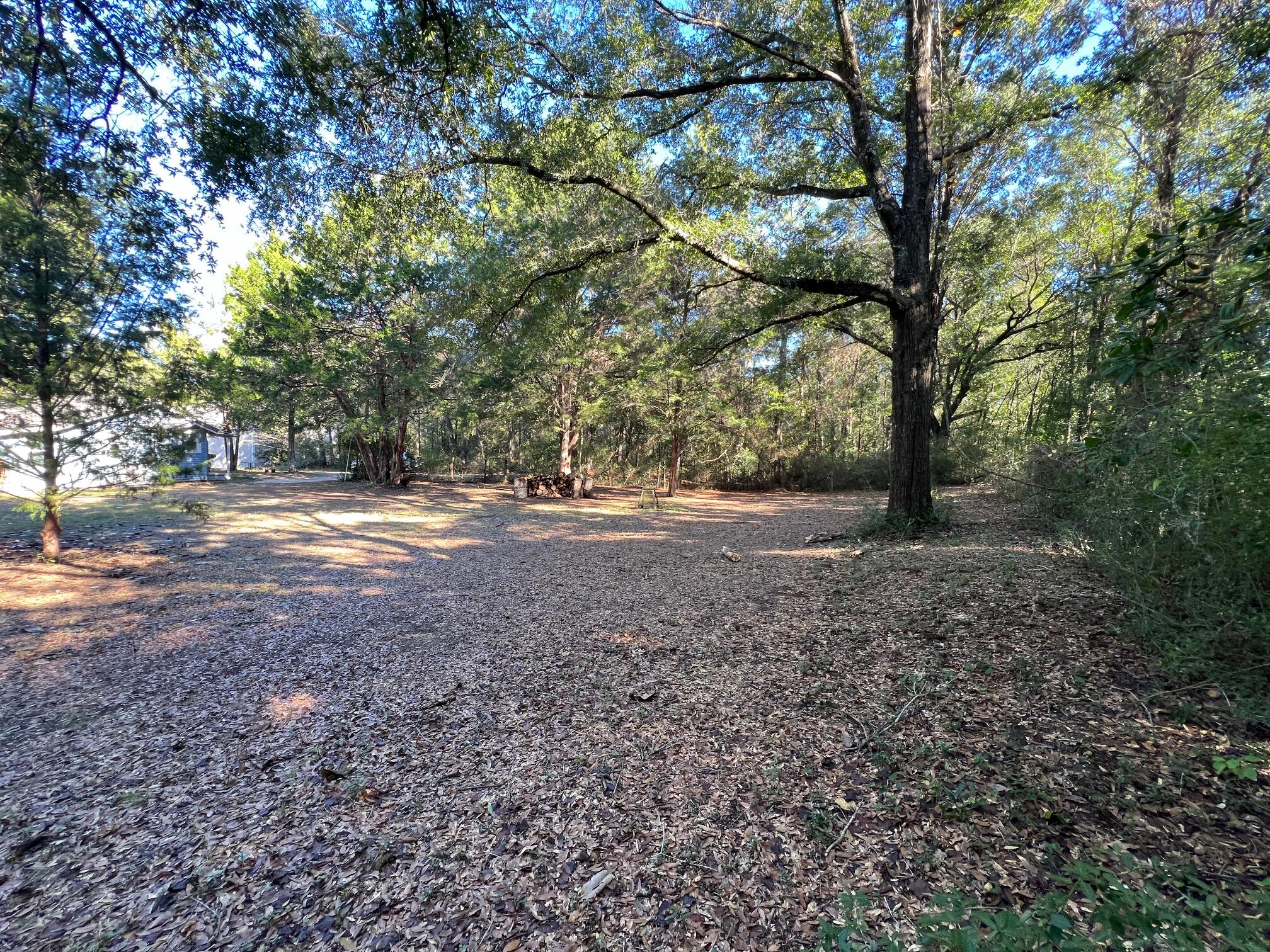 299 Carl Place Crestview, FL 32539 - Photo 8 of 37 a view of dirt yard with large trees