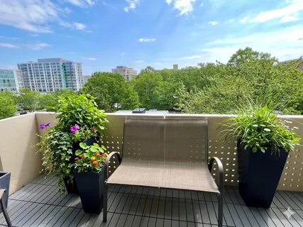 a potted plant sitting in front of a house