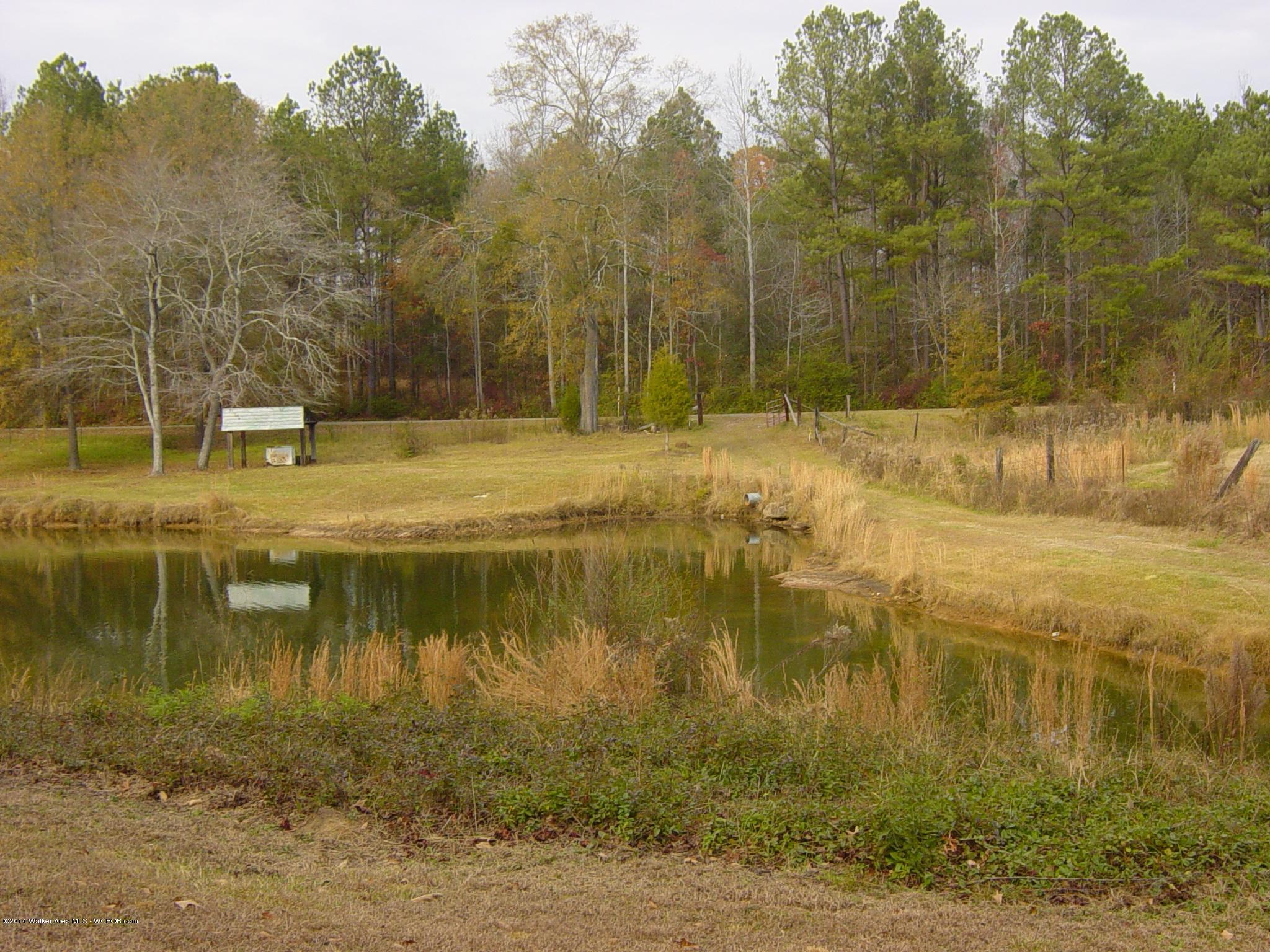 151 Wright Road Jasper, AL 35501 - Photo 8 of 9 Gallery Image 8