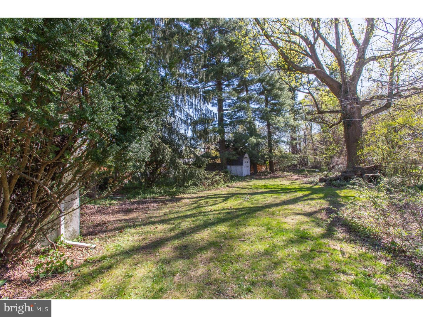 900 Church Road Springfield, PA 19064 - Photo 21 of 21 Back Yard