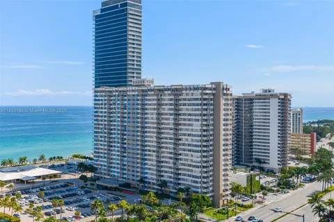 a garden with tall trees
