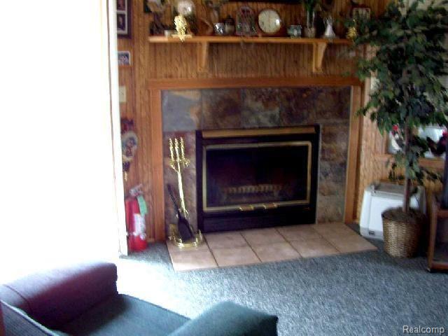 2020 Mushroom Road Snover, MI 48472 - Photo 2 of 10 Family room