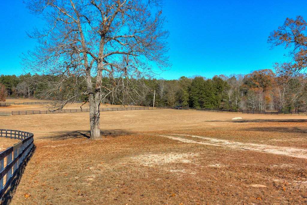 448 Long Cane Road Williston, SC 29853 - Photo 10 of 53
