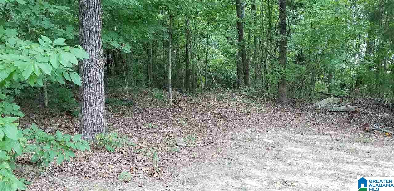 0 Briar Cliff Road, Unit 12 Rainbow City, AL 35906 - Photo 24 of 29