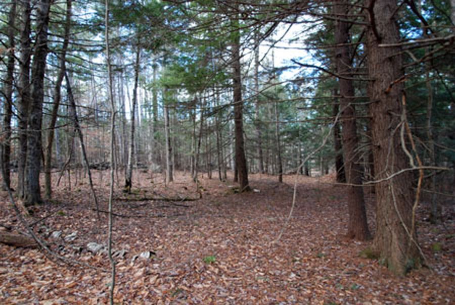 48-5 Old Shaker Road, Unit 4852 Loudon, NH 03307 - Photo 3 of 4