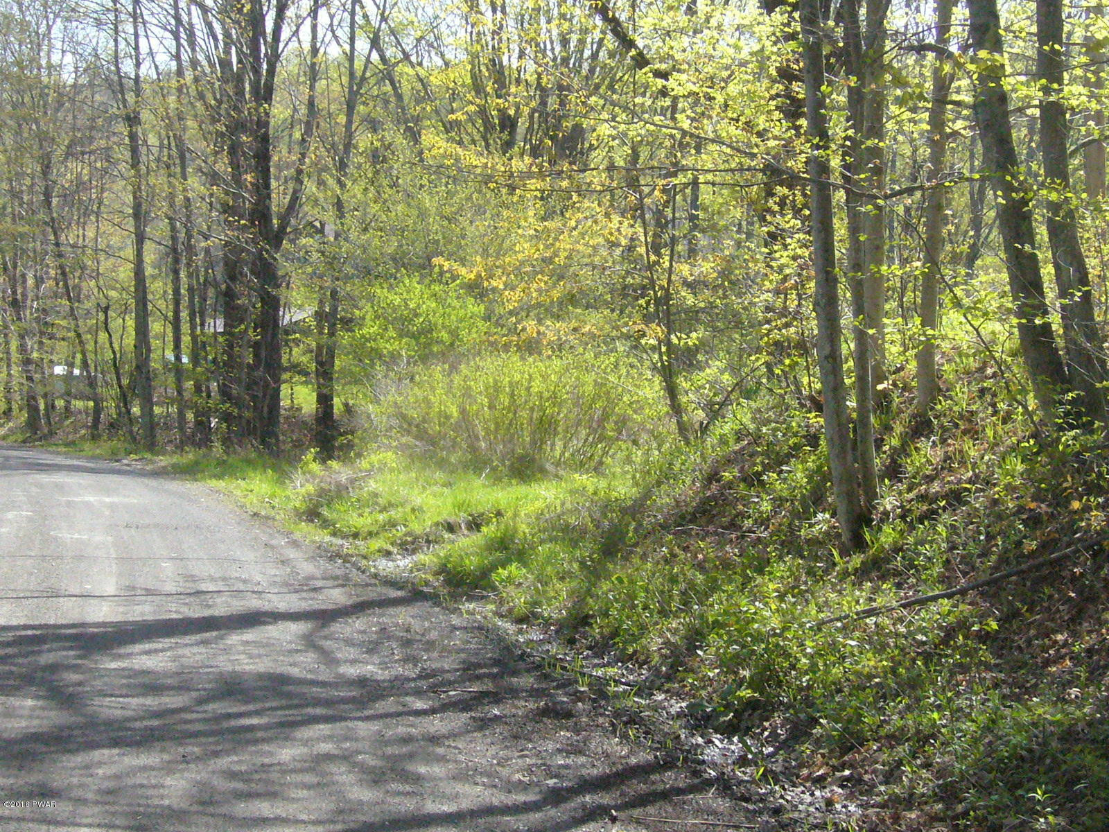 1736 O O&W Road Starlight, PA 18461 - Photo 13 of 41