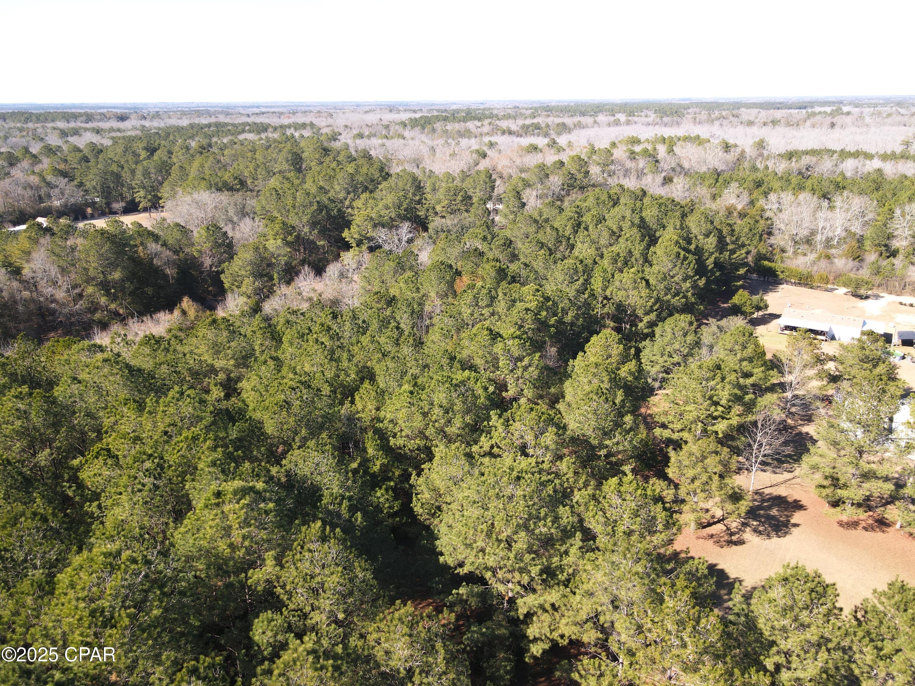 0 Moss Road Bonifay, FL 32425 - Photo 5 of 12 Gallery Image 5