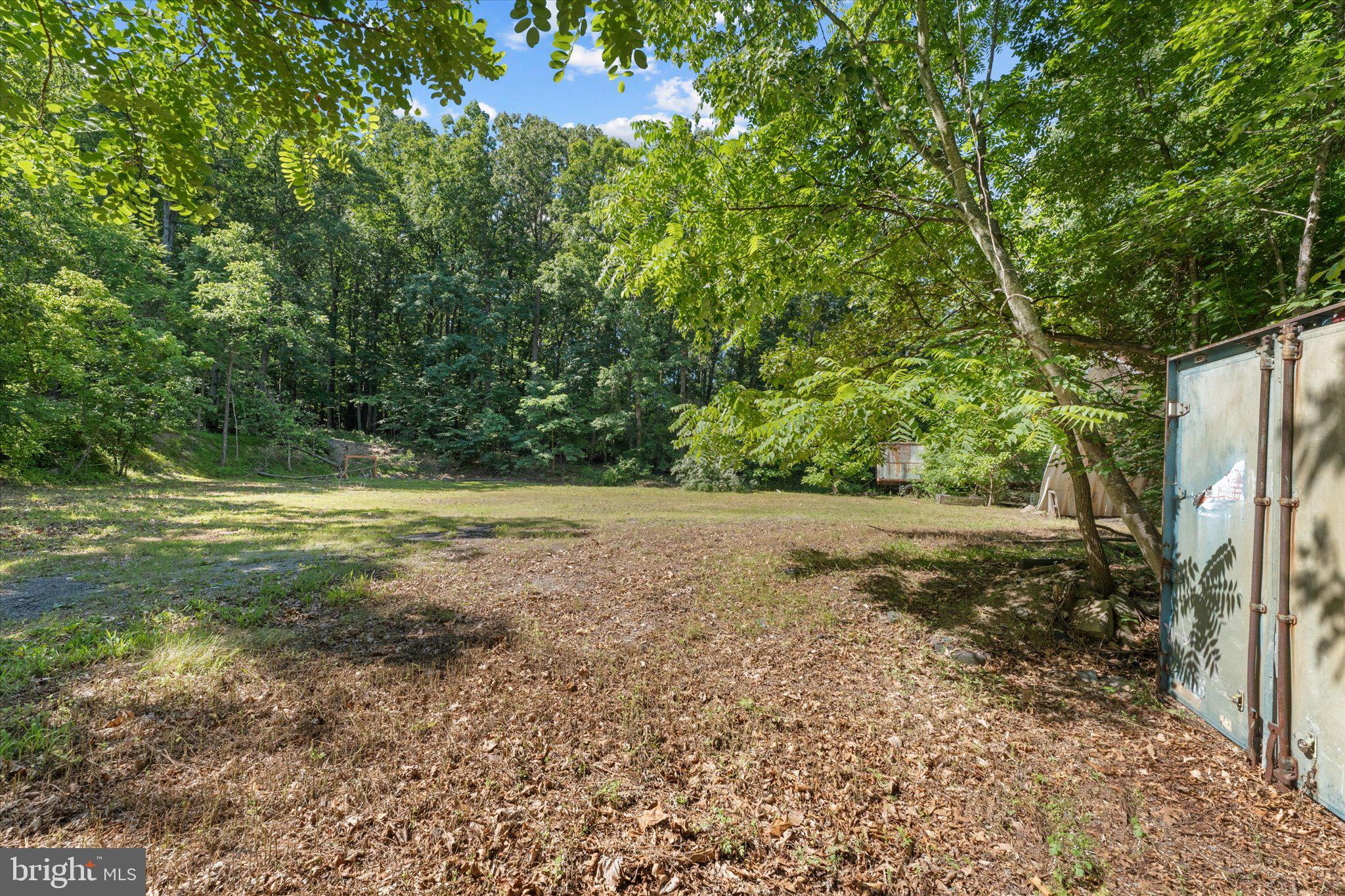202 Cedar Grove Road Winchester, VA 22603 - Photo 16 of 21 Serene wooded lot awaits your vision.