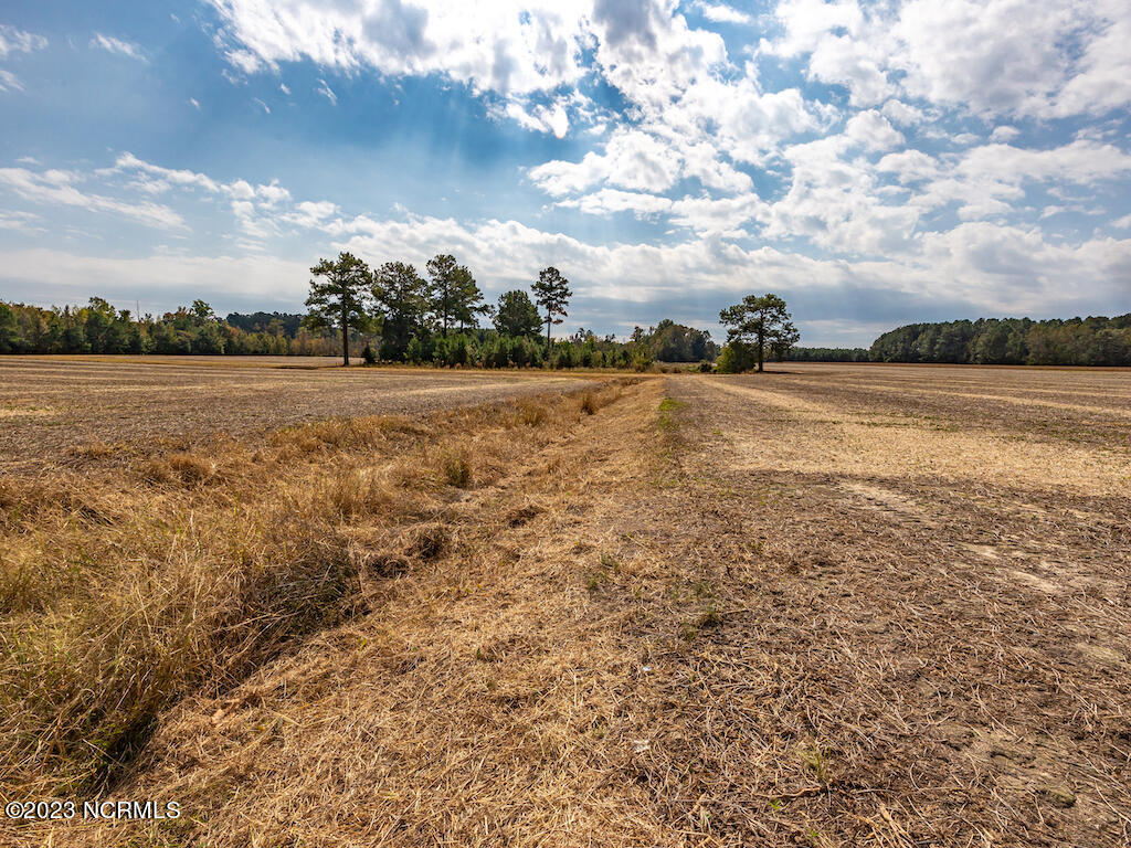 0 Bailey Road Fairmont, NC 28340 - Photo 23 of 29 24