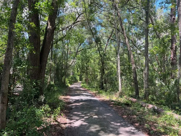 a view of outdoor space and green space