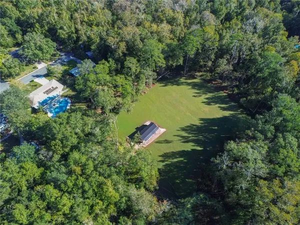 a view of a garden with plants