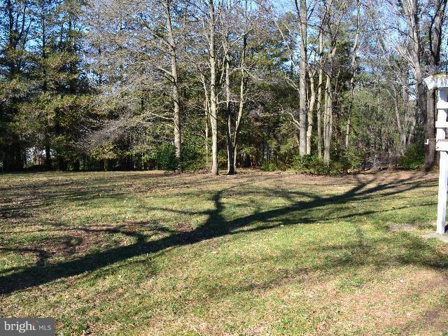 2106 Thomas View Road Reston, VA 20191 - Photo 7 of 29 a view of a tree is standing in between the field
