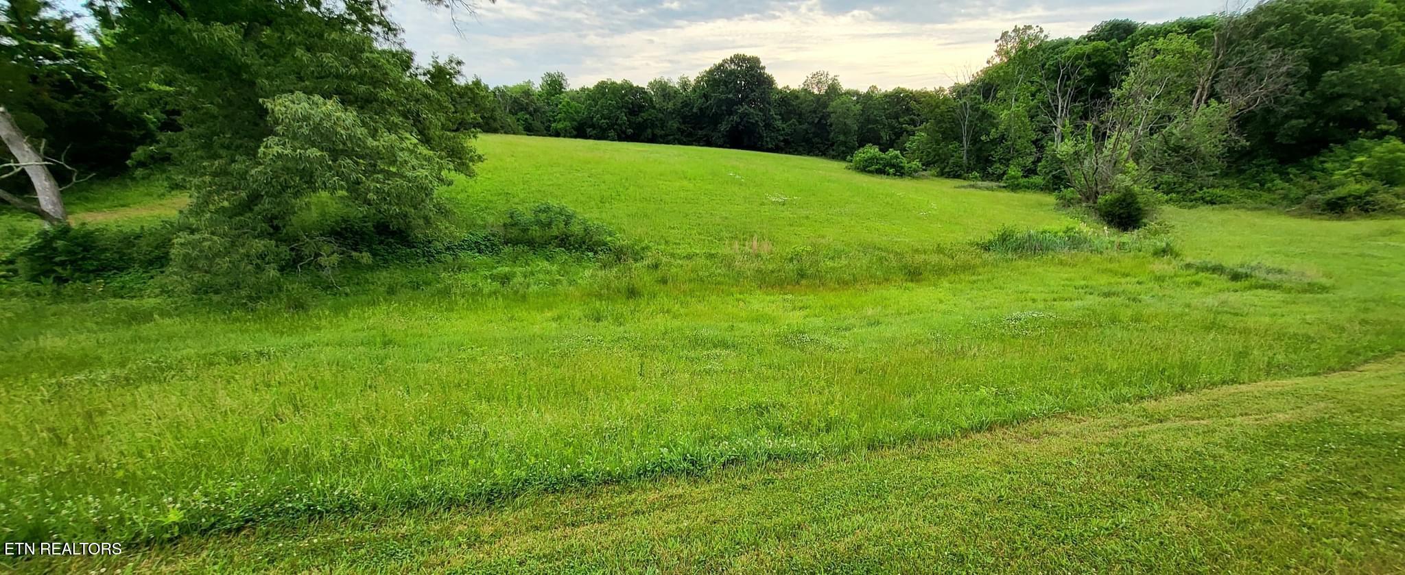 Lot 6 Phillips Road White Pine, TN 37890 - Photo 5 of 6 IMG_1247