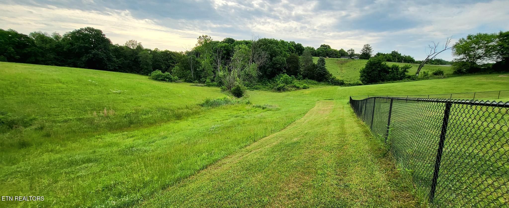 Lot 6 Phillips Road White Pine, TN 37890 - Photo 6 of 6 IMG_1248