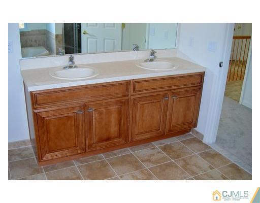 26 Carnation Road Monroe Township, NJ 08831 - Photo 6 of 10 a bathroom with a sink and a mirror