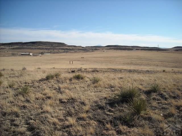 Tbd Tbd Little Floyd Road Rye, CO 81069 - Photo 4 of 8