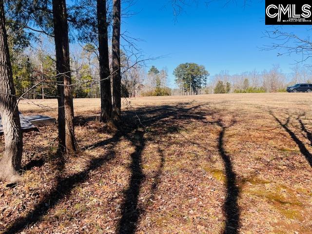 Maple Knoll Road Prosperity, SC 29127 - Photo 7 of 15