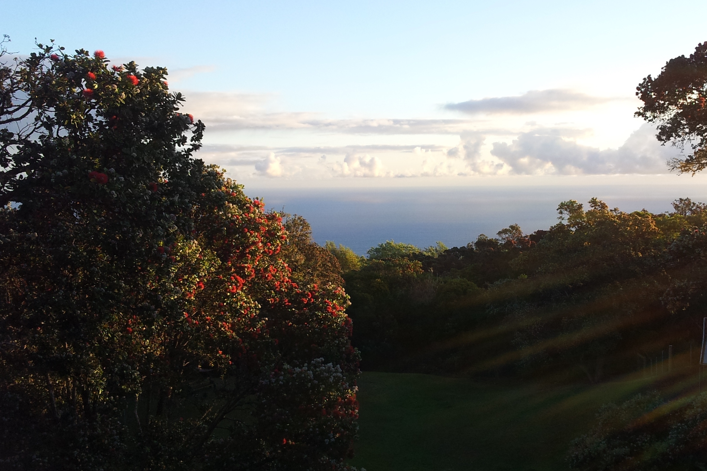 43-5745 Old Stable Road Paauilo, HI 96776 - Photo 29 of 30 a view of city and a lake