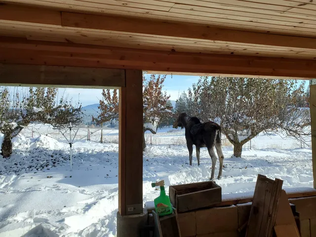 $650,000 | 8920 East Schwachtgen Branch Road, Chattaroy, WA 99003