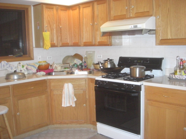 2415 South Normal Avenue, Unit G Chicago, IL 60616 - Photo 6 of 8