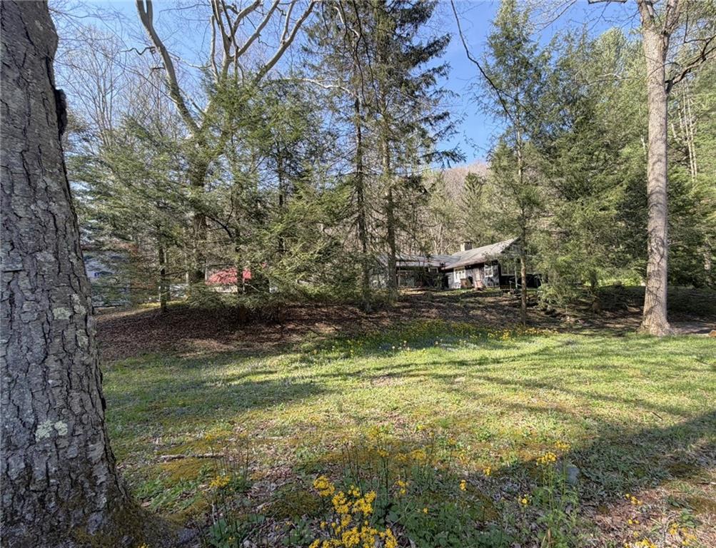 219 Noel Road Latrobe, PA 15650 - Photo 6 of 27 a view of a fountain in middle of the forest