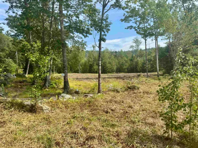 $549,000 | Lot 21 Dodge Pond Lane, Lempster, NH 03605