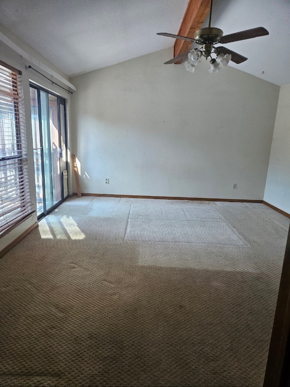 319 Fawnridge Street Georgetown, TX 78628 - Photo 12 of 24 an empty room with windows