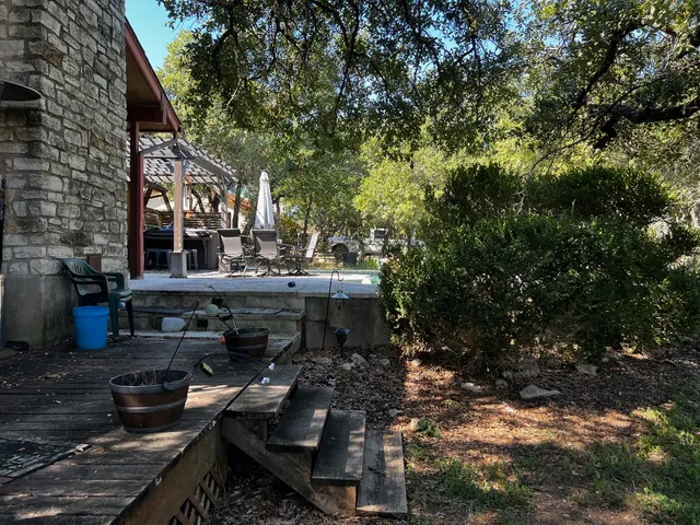 a view of a park with large trees