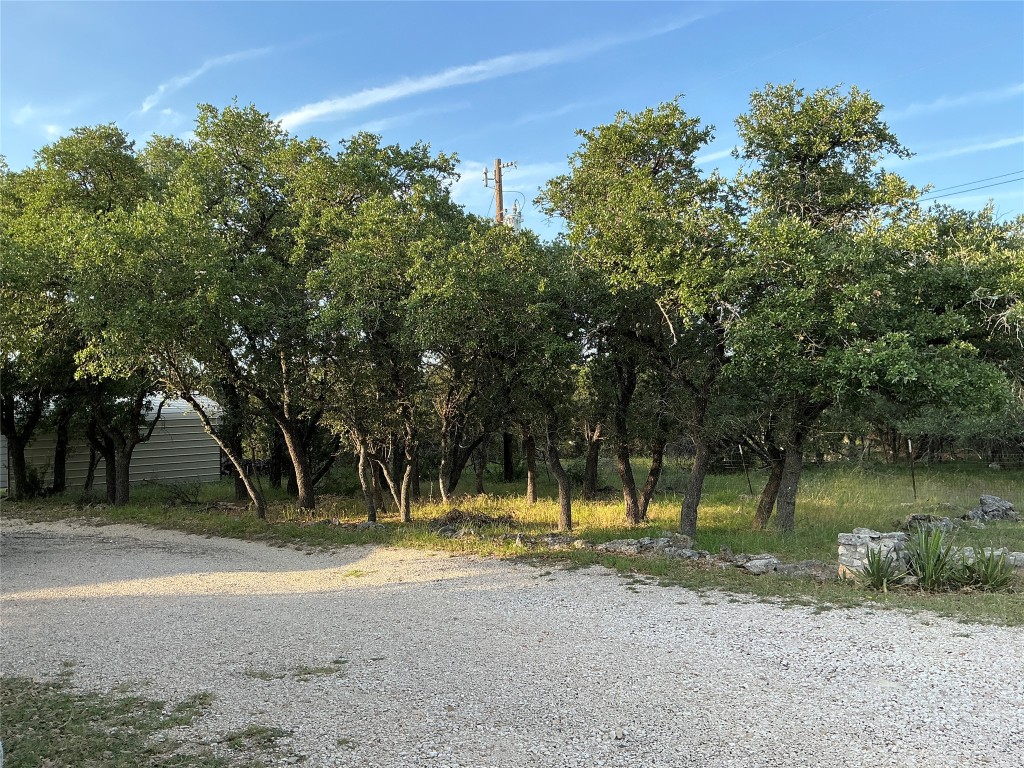 319 Fawnridge Street Georgetown, TX 78628 - Photo 4 of 24 a view of a yard with an outdoor space