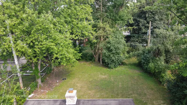 a view of a yard with plants