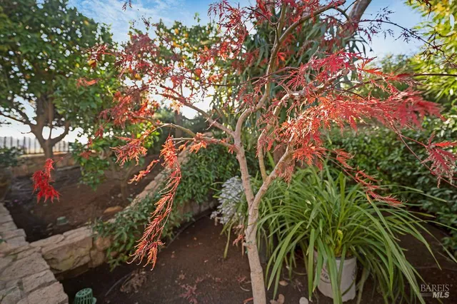 $2,850,000 | 115 Stone Tree Lane, Novato, CA 94945