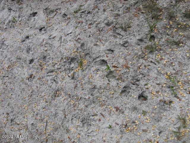 261 Byrd Road Crescent City, FL 32112 - Photo 16 of 35 DEER TRACKS IMG_0063