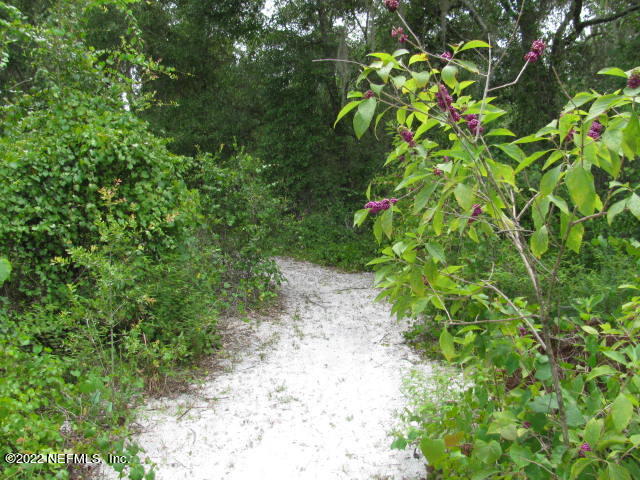 261 Byrd Road Crescent City, FL 32112 - Photo 24 of 35 PATH TO LAKE #1 IMG_0030