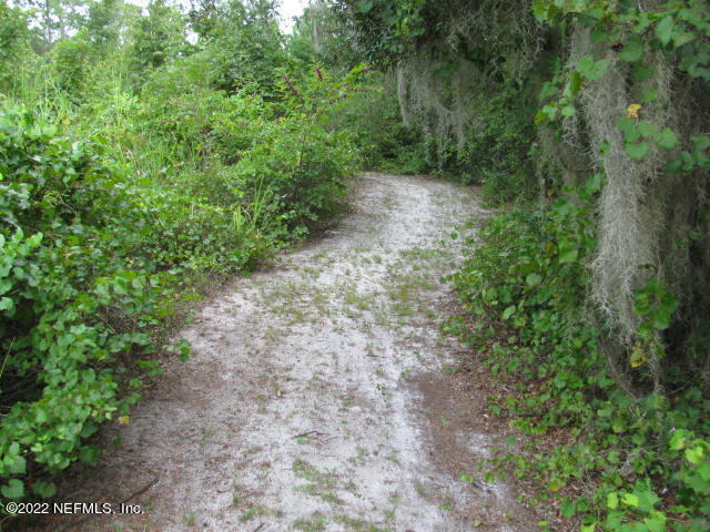 261 Byrd Road Crescent City, FL 32112 - Photo 26 of 35 PATH TO LAKE #3 IMG_0032