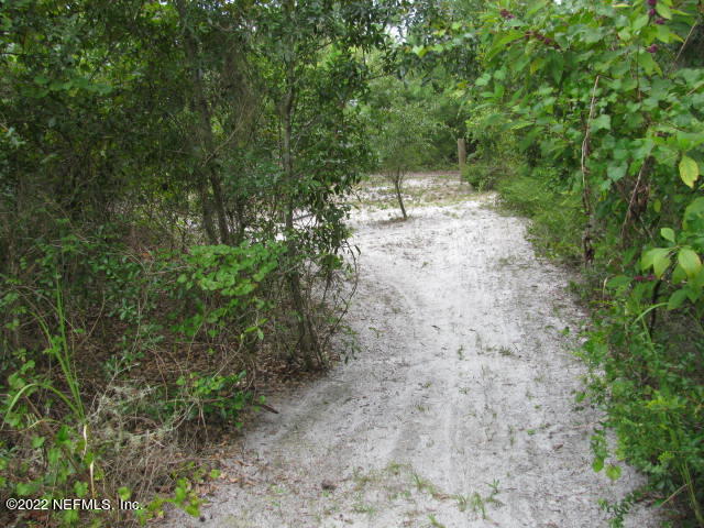 261 Byrd Road Crescent City, FL 32112 - Photo 28 of 35 PATH TO LAKE IMG_0033