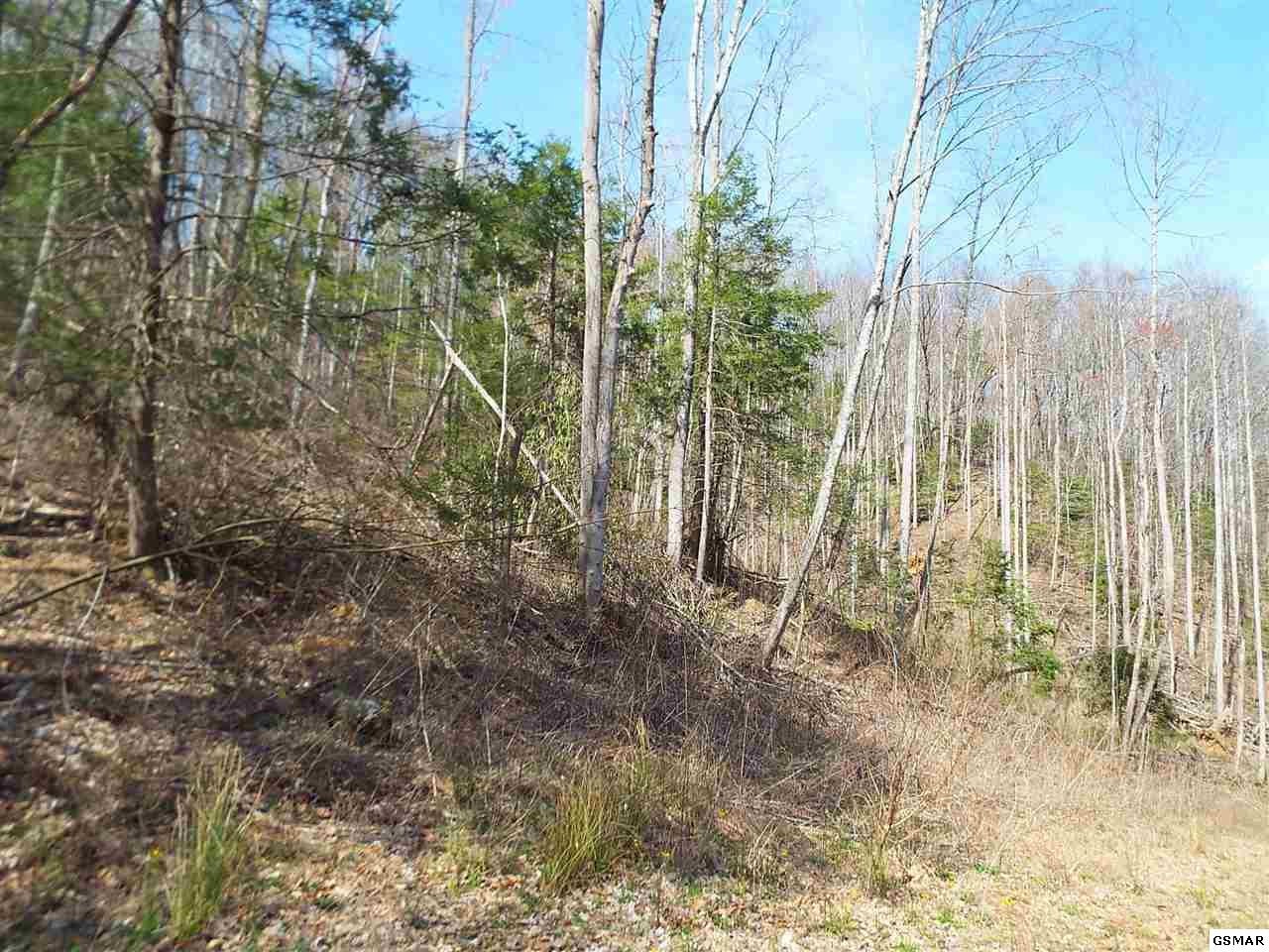 7903 Ground Hog Road Cosby, TN 37722 - Photo 3 of 35 Gallery Image 3