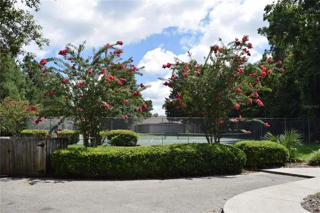 a picture of street with flower plants