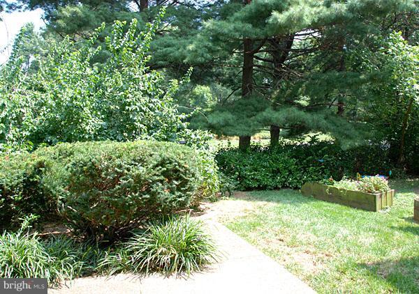 1755 Ivy Oak Square, Unit 95 Reston, VA 20190 - Photo 8 of 25 Exterior (Rear)