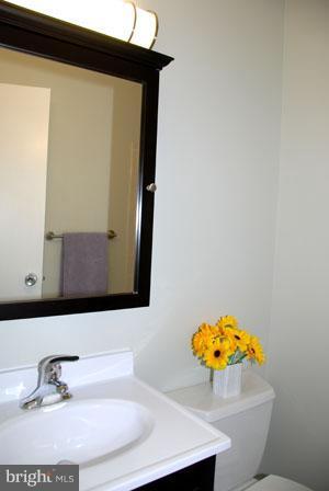 1755 Ivy Oak Square, Unit 95 Reston, VA 20190 - Photo 9 of 25 Bath (Master)