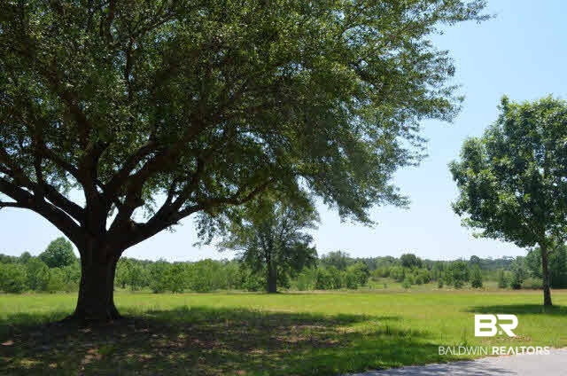 0 Biscayne Brook Lane Elberta, AL 36530 - Photo 7 of 10