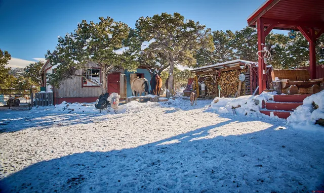 $389,000 | 1877 Wilking Road, Fort Garland, CO 81133