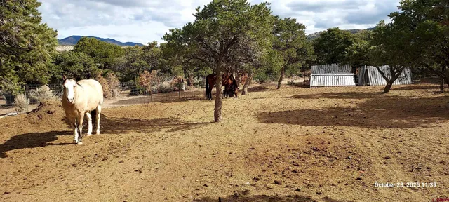 $389,000 | 1877 Wilking Road, Fort Garland, CO 81133